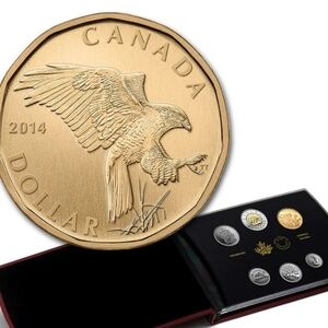 2014 RCM Specimen Set